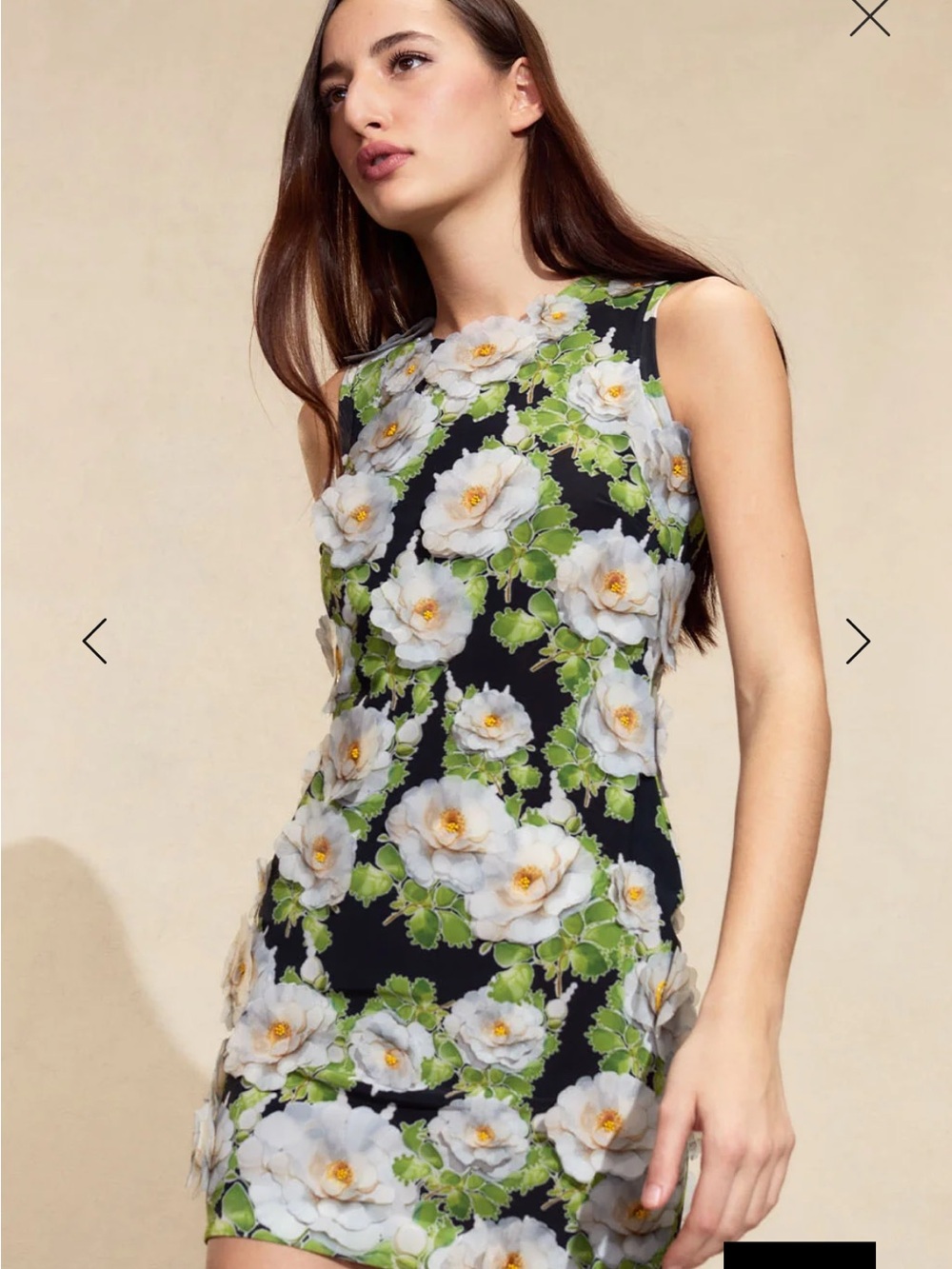 Cynthia Rowley Cornelia Appliqué Dress